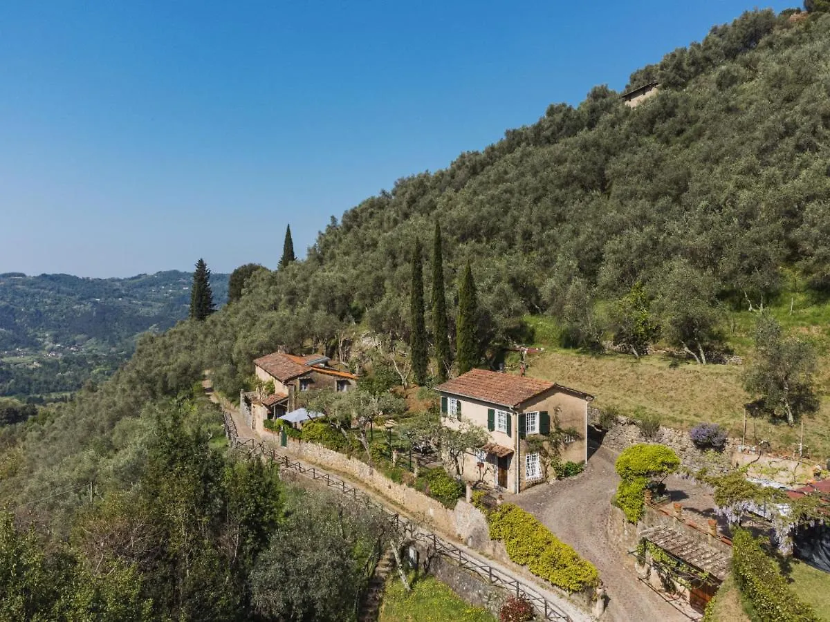 Holiday Home Il Glicine By Interhome Montemagno