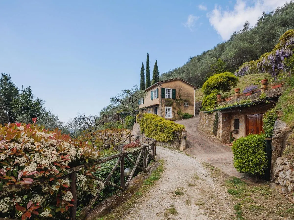 Holiday Home Il Glicine By Interhome Montemagno  Italy